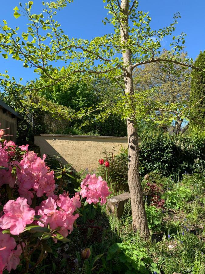 Ferienhaus Fidei Villa Zemmer Eksteriør bilde